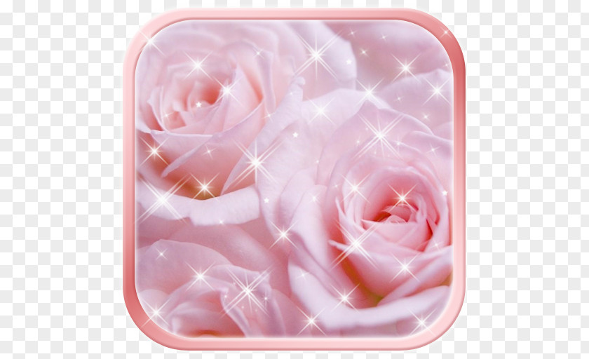 Pink 8 Digit Womens Day Tap Swipe! Android Desktop Wallpaper PNG