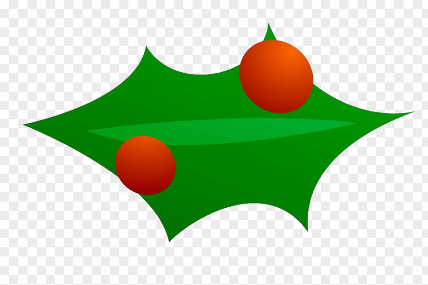 Plant Holly PNG