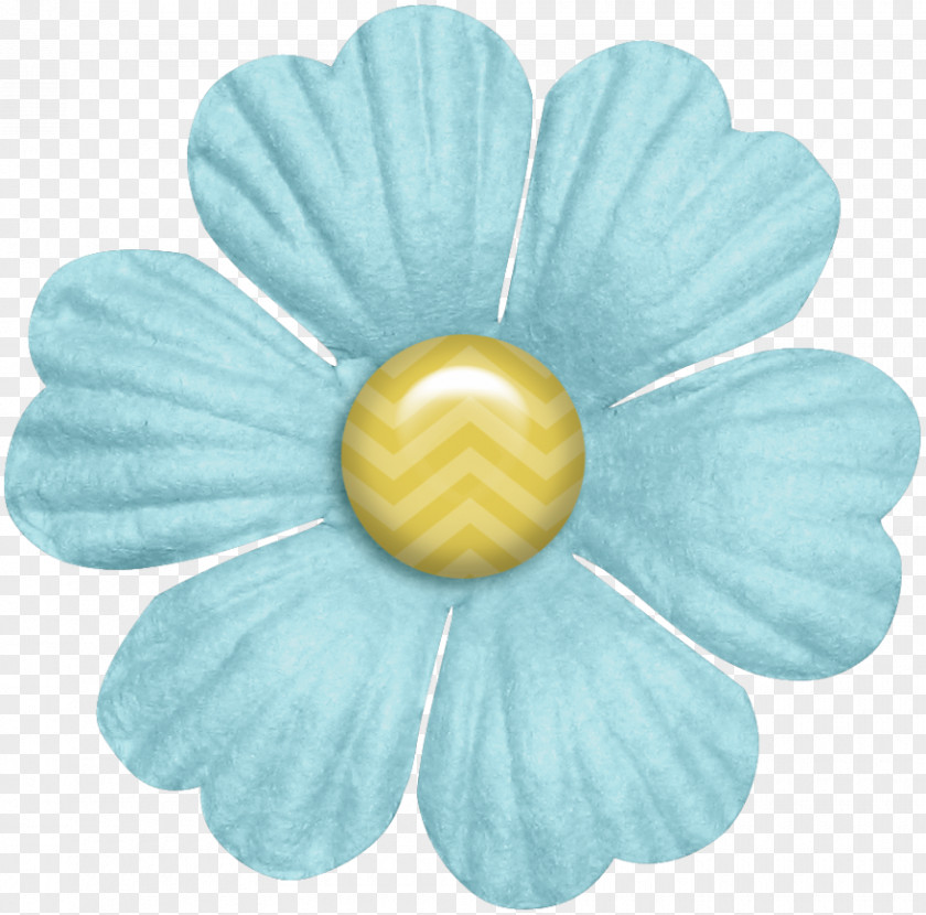 Reh Turquoise PNG
