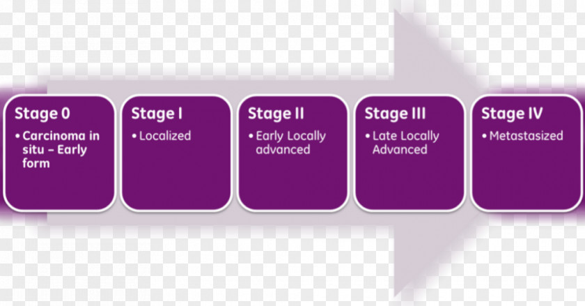 Stage Spreading Mesothelioma Cancer Staging Grading Brain Tumor PNG