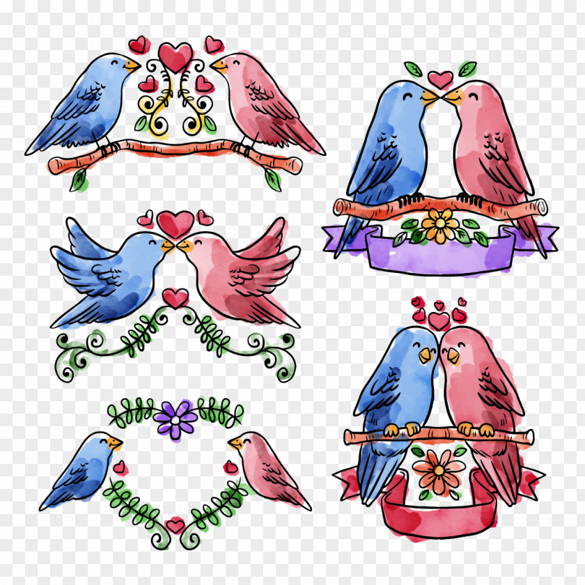 Vector Collection Love Birds Rosy-faced Lovebird Clip Art PNG