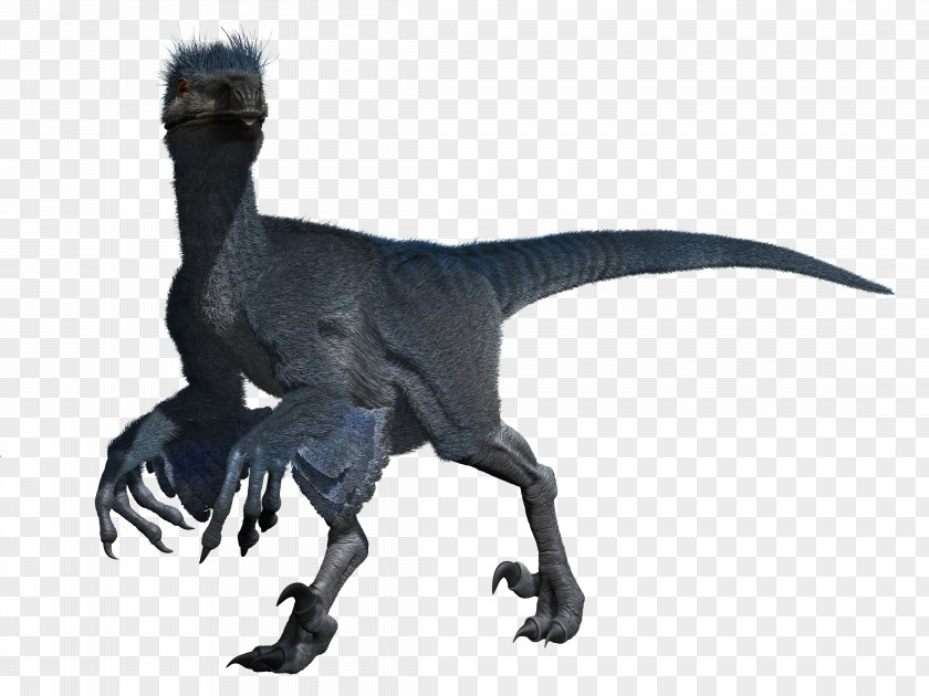 Velociraptor Tyrannosaurus Extinction Terrestrial Animal PNG