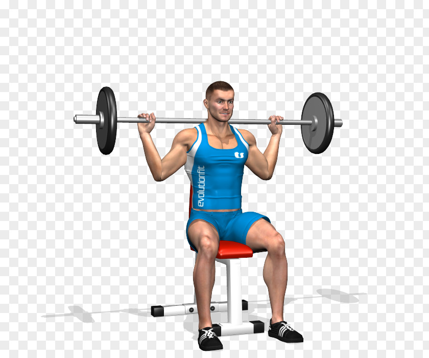 Dumbbell Shoulder Press Powerlifting Barbell Squat Weight Training Exercise PNG