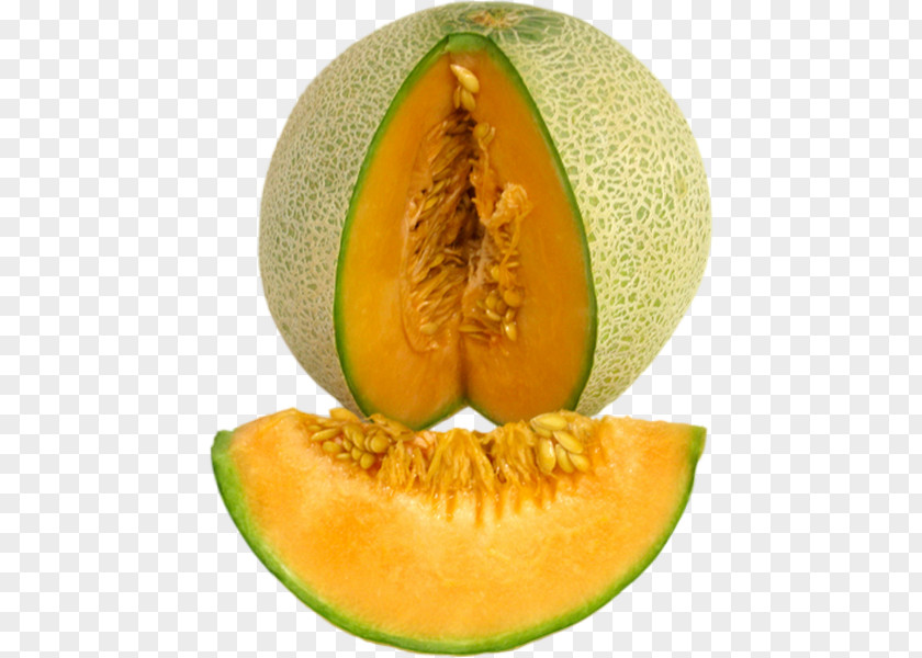 Gourd Fruit Honeydew Cantaloupe Galia Melon Canary PNG