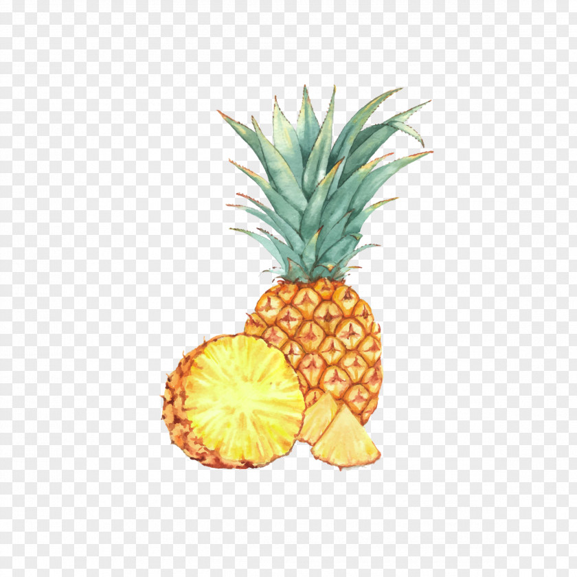Pineapple Watercolor Painting Fruit Drawing Illustration PNG