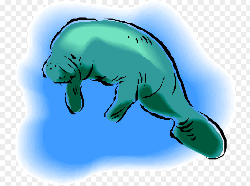 Sea Cows Drawing Clip Art PNG