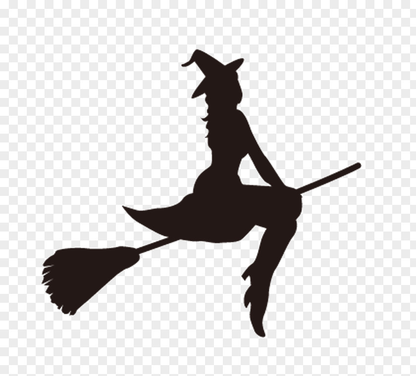 Witch Witchcraft Room On The Broom Silhouette Flying PNG