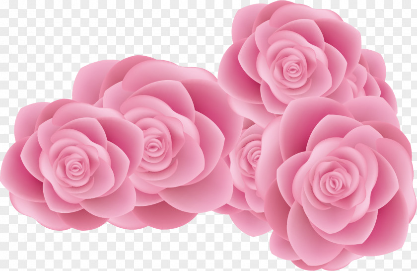 Beautiful Roses Creative Sea Garden Centifolia Beach Rose Euclidean Vector PNG