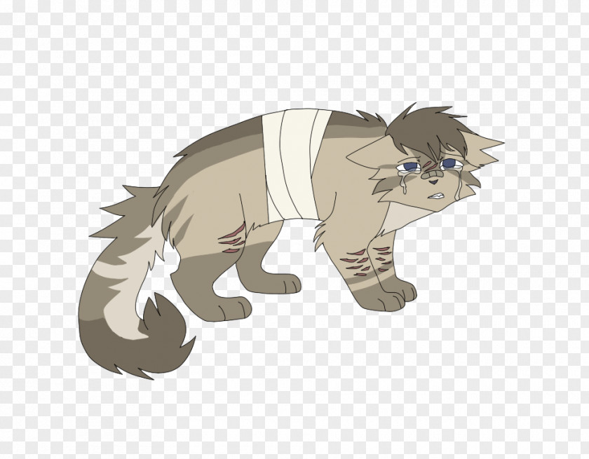 Cat Horse Mammal Dog Canidae PNG