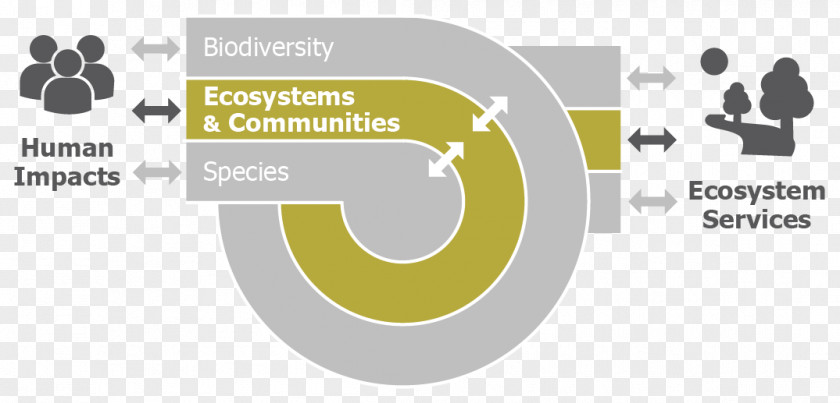 Conservation Biology Biodiversity Science PNG