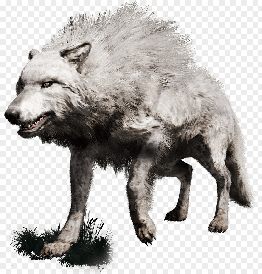 Far Cry Primal Gray Wolf PlayStation 4 PNG