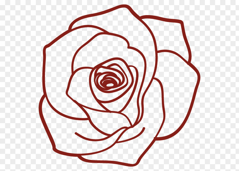 Garden Roses Drawing Illustration Flower PNG