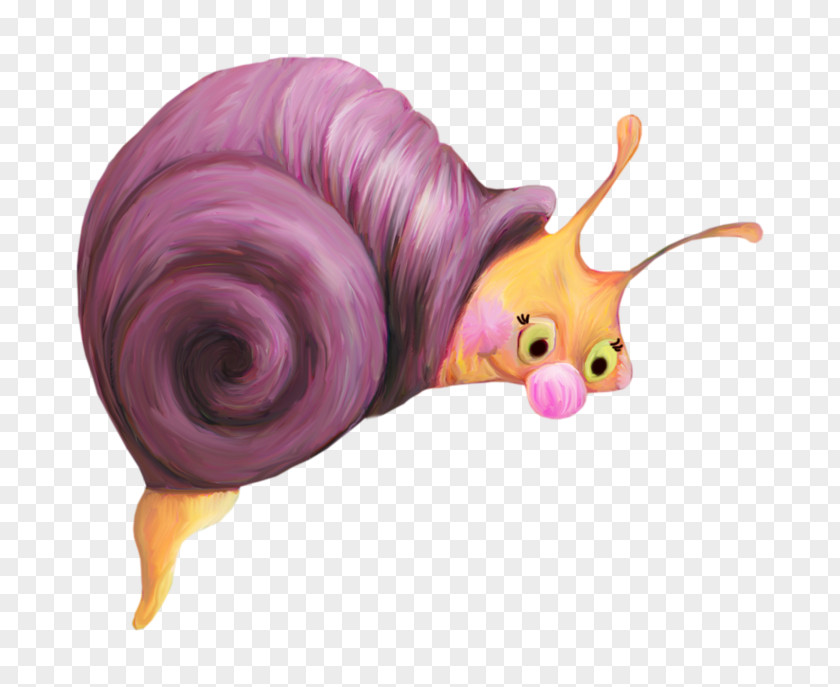 Animation Purple Sea Snail Snails And Slugs PNG