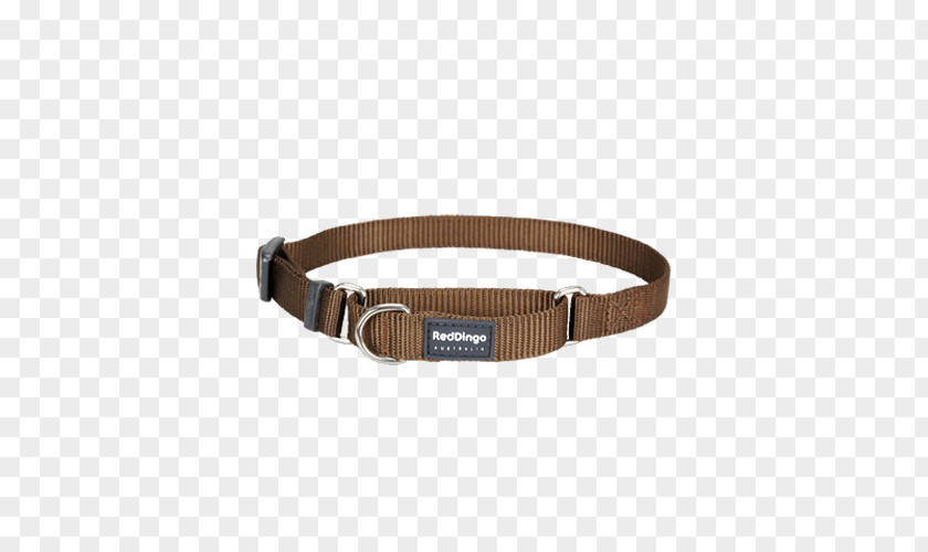 Cat Dingo Dog Collar Martingale Leash PNG