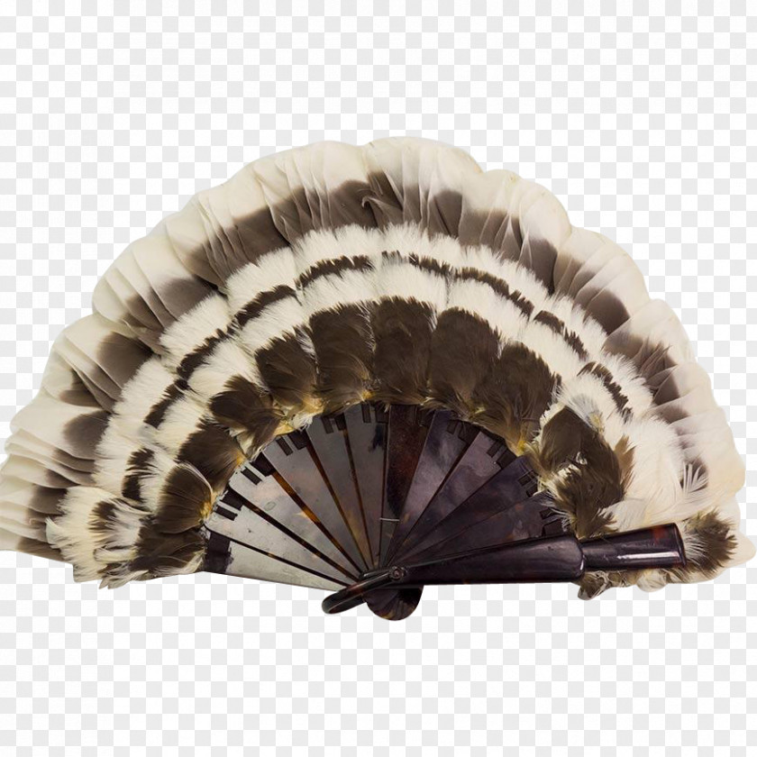 Celluloid Common Ostrich Vintage Clothing Hand Fan Feather PNG