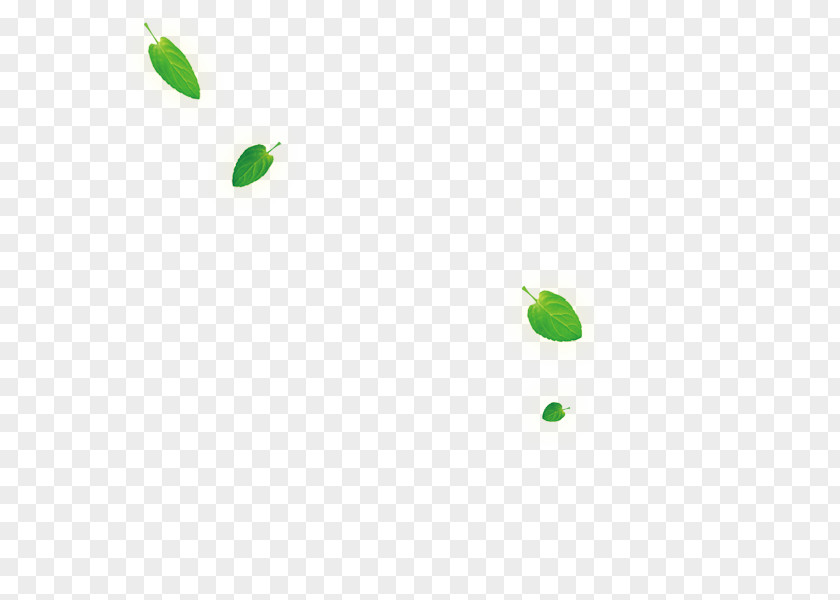 Falling Leaves Green Area Angle Pattern PNG