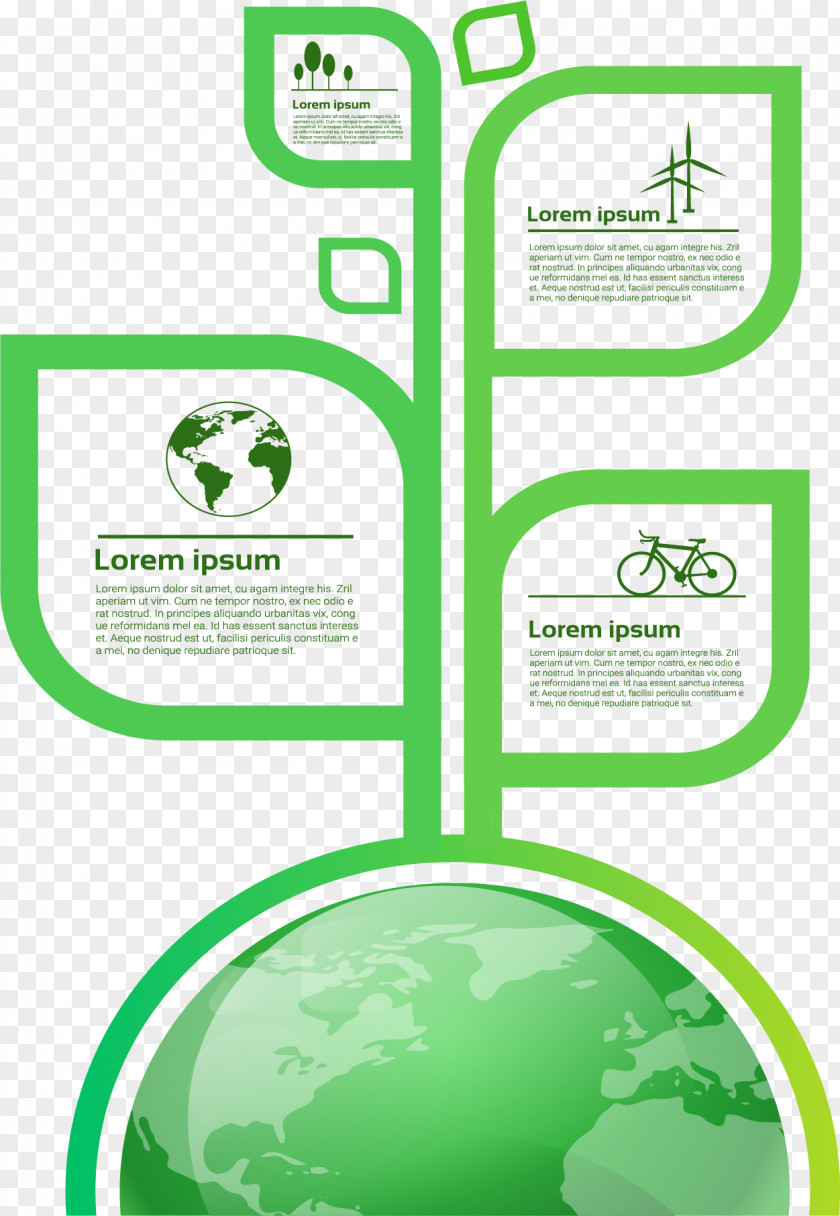 Leaf Structure Information Chart Infographic Euclidean Vector Illustration PNG