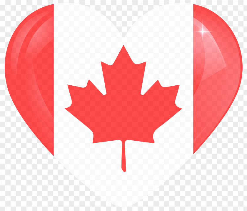 Logo Flag Maple Leaf PNG