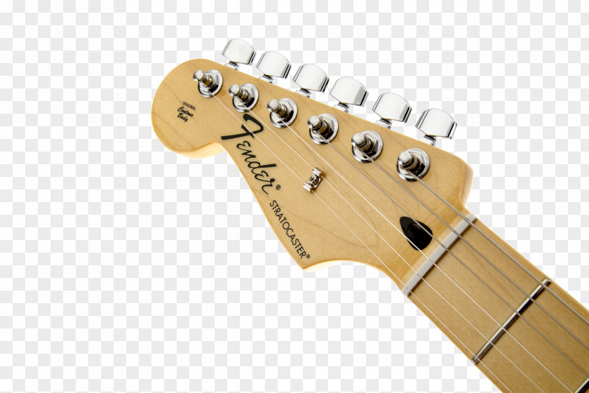 Electric Guitar Fender Standard Stratocaster Musical Instruments Corporation PNG