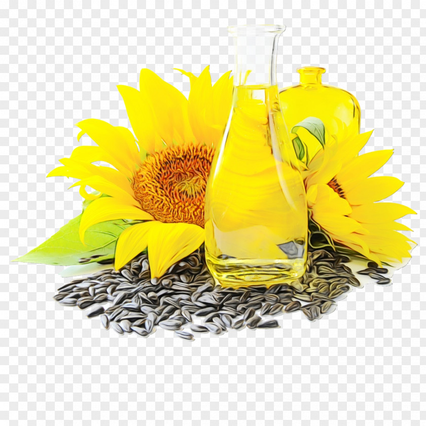 Flowering Plant Vegetarian Food Sunflower PNG