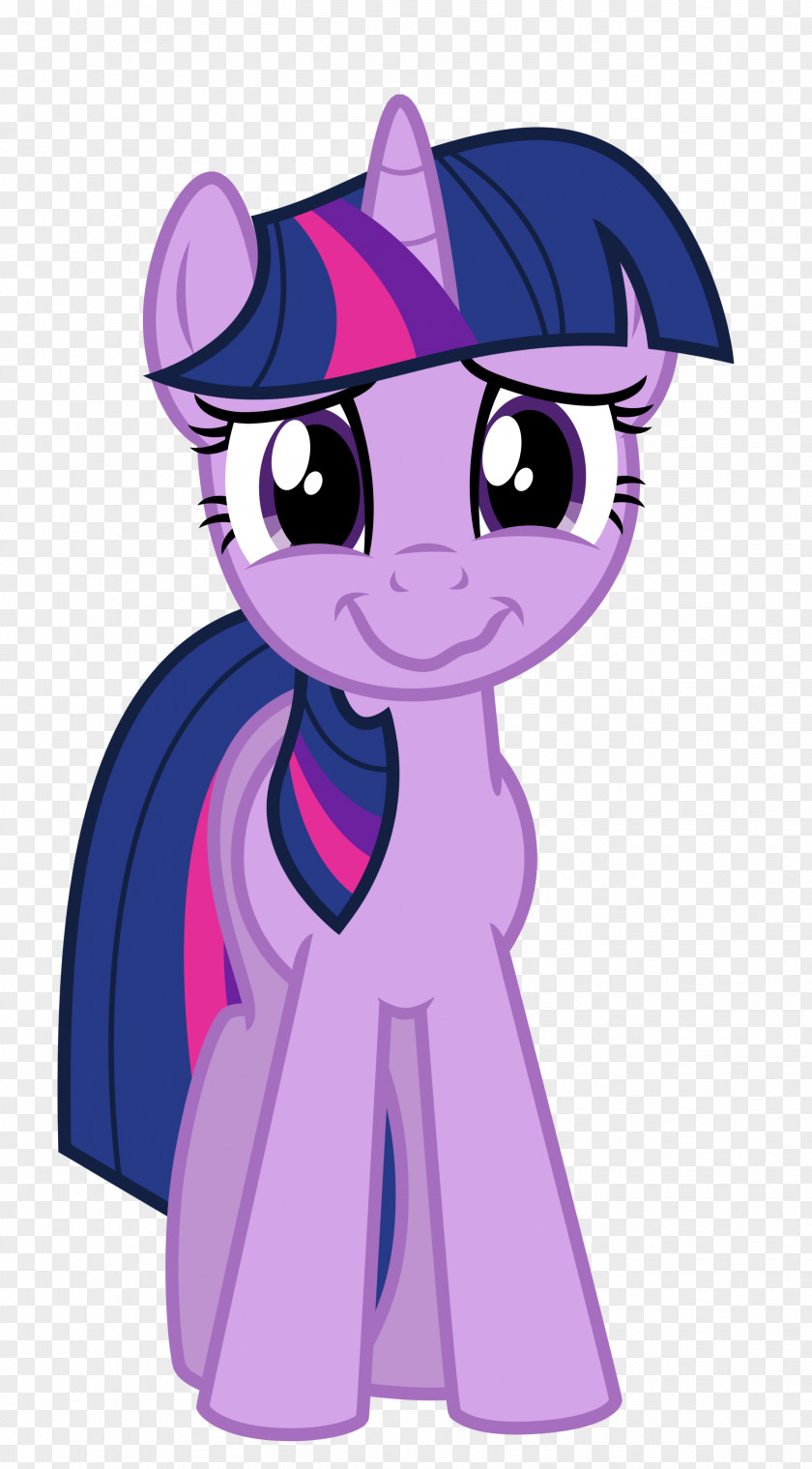 Sparkle Vector Twilight Pony Rainbow Dash Rarity DeviantArt PNG