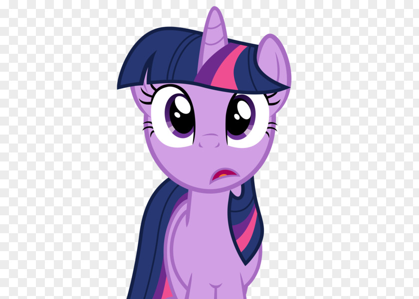 Animation Twilight Sparkle Pinkie Pie Rainbow Dash Rarity The Saga PNG