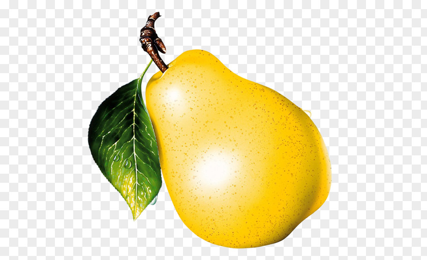 Asian Pear Animaatio Passion Fruit PNG
