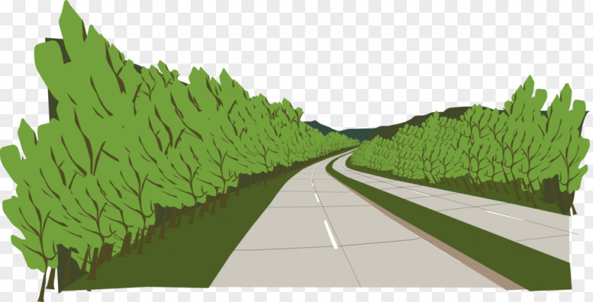 Old Route 66 Tree Illustration Biome Grasses Leaf PNG