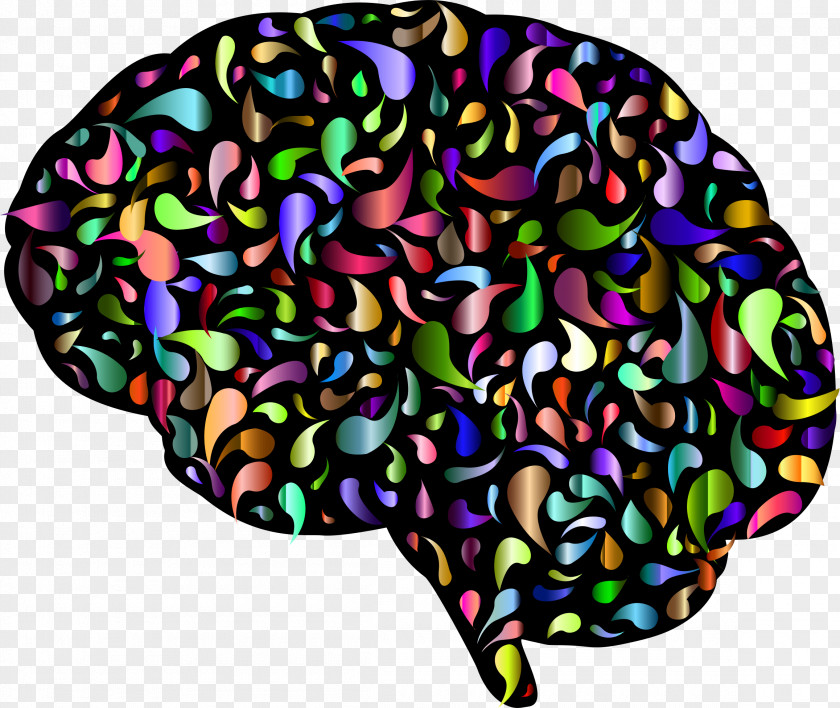 Brain Human Synapse Abstract Clip Art PNG