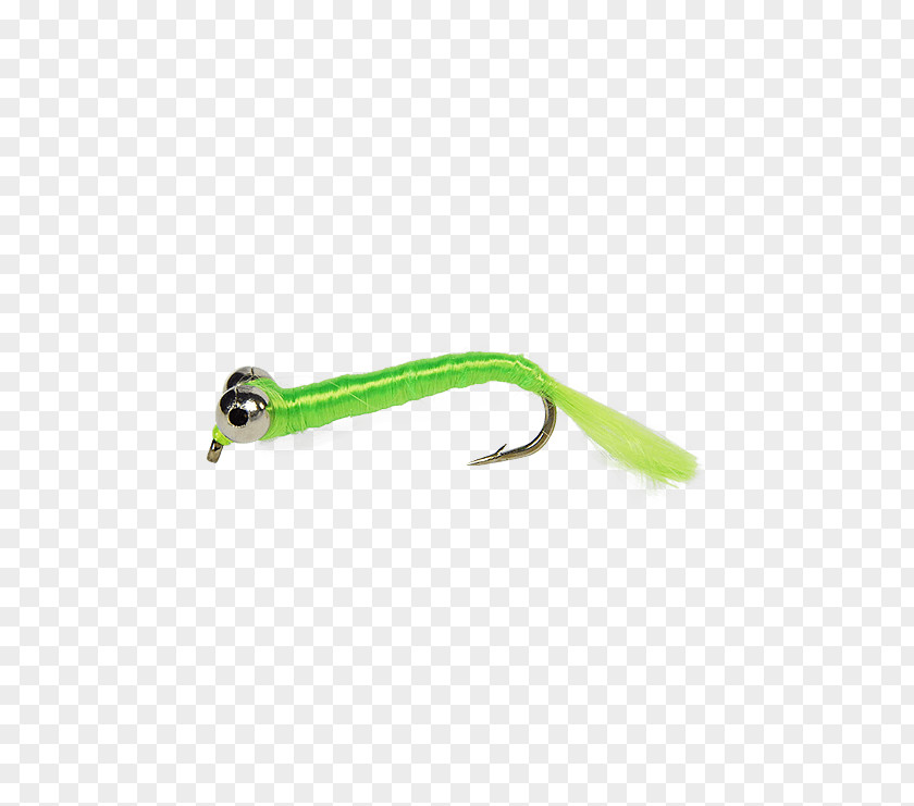 Fly Fishing Chartreuse American Shad Crazy Charlie PNG