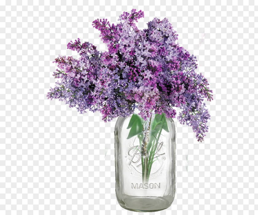 Lilac Common Lavender Vase Clip Art PNG