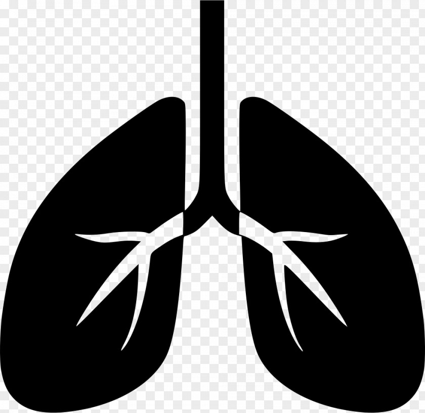Lung Breathing Pulmonology Child PNG