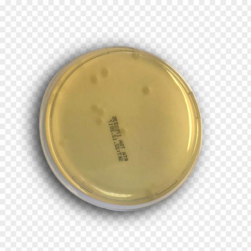 Microbiology Research Petri Dishes Growth Medium Industry PNG
