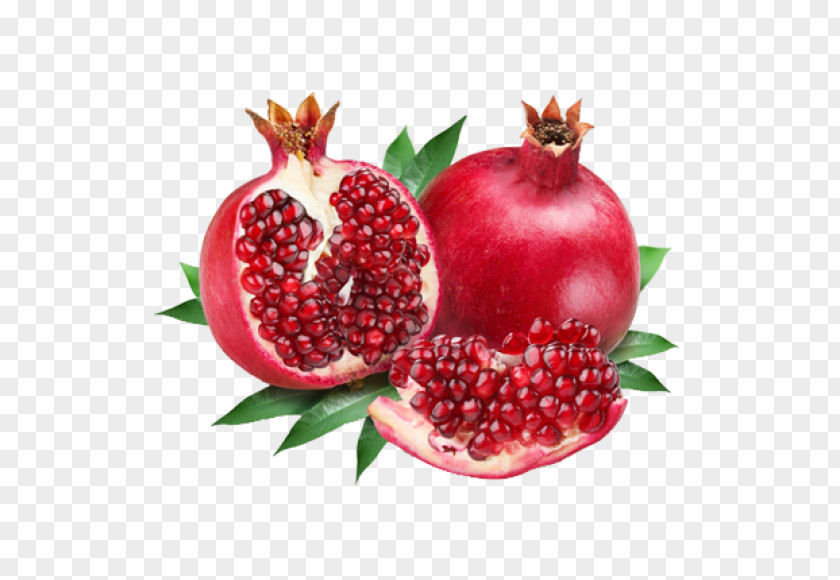 Pomegranate Clip Art Transparency Vector Graphics PNG