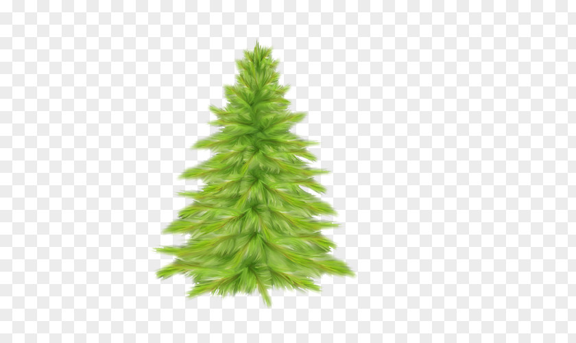 Tree Christmas Spruce Fir PNG