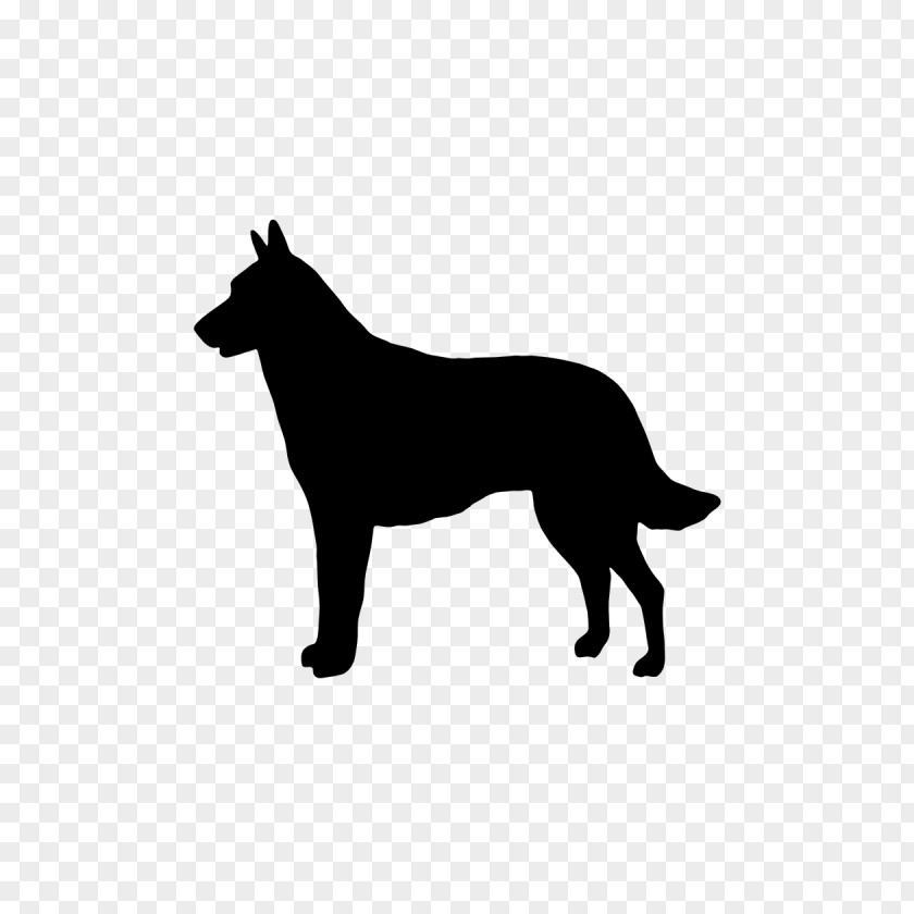 Vehicles Vector Malinois Dog Belgian Shepherd Tervuren German Laekenois PNG