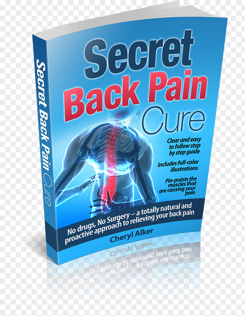 Back Pain Advertising Brand Organism PNG