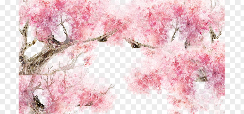 Cherry Blossoms,petal Blossom Pink Petal PNG