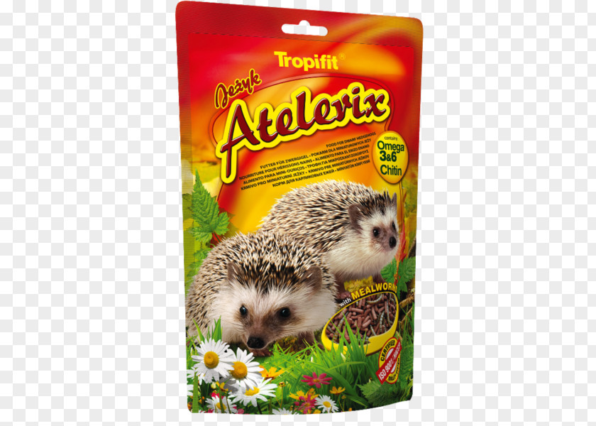 Erizo Four-toed Hedgehog Food Pet Shop Hamster PNG