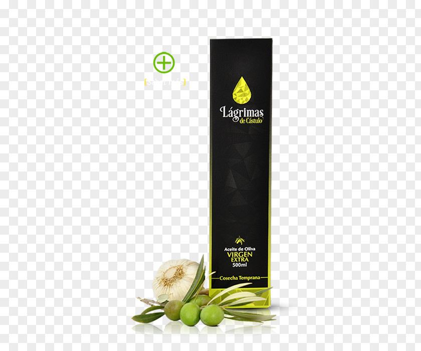 Olive Oil Castulo Service PNG