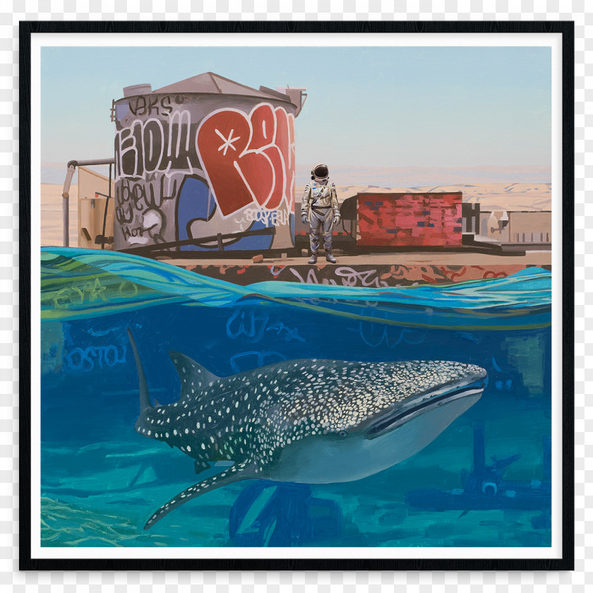 Whale Shark Wholphin Artist Painting Visual Arts PNG