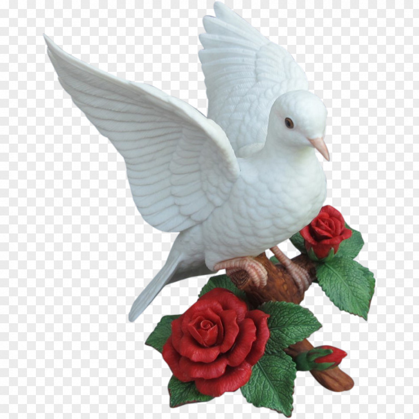 Columbidae Christmas PNG