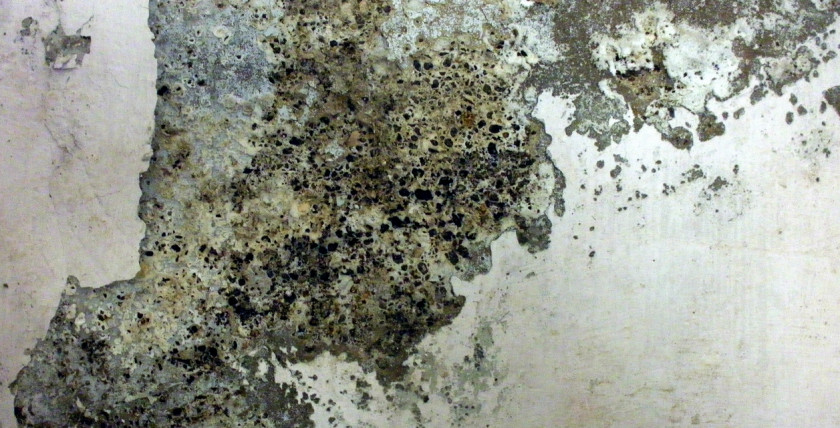 Dirt Texture Painting Wall Wallpaper PNG