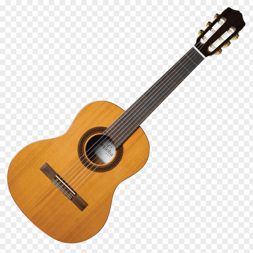 Guitar Classical Acoustic Musical Instruments Cutaway PNG