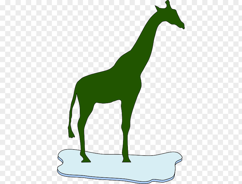 Mammal Okapi Northern Giraffe Clip Art Vector Graphics PNG