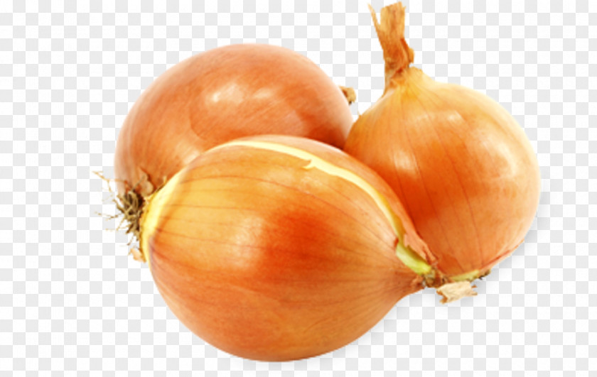 Onion Organic Food Vegetable Fruits Et Légumes PNG