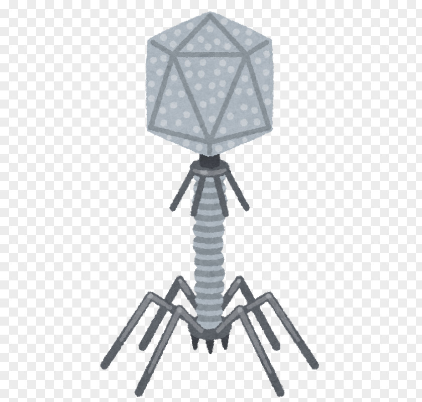 Phage Bacteriophage いらすとや Bacteria バーチャルYouTuber PNG