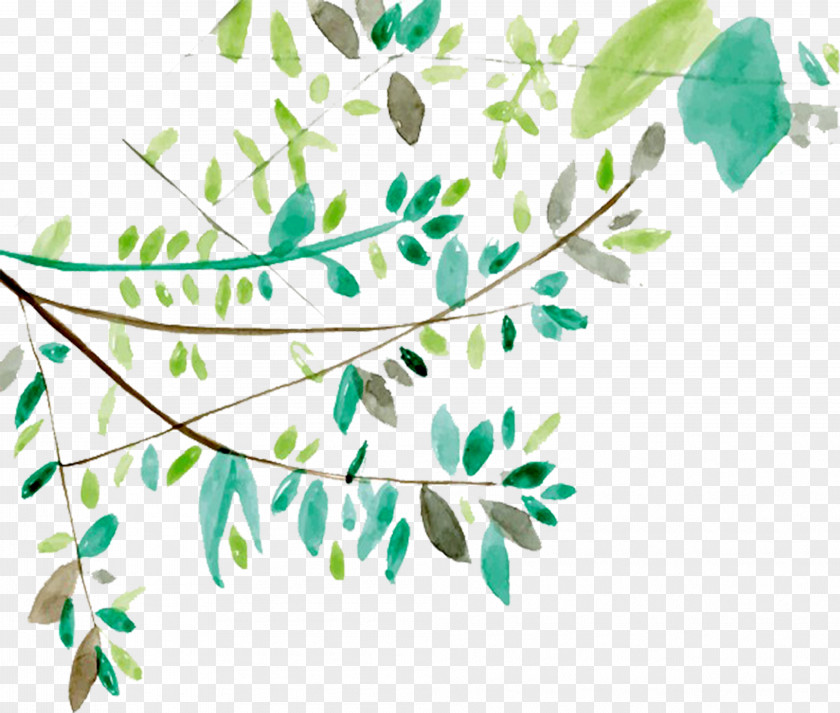 Watercolor Painted Green Tree Branches Leaf Painting Euclidean Vector Icon PNG