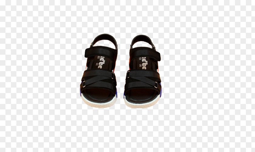 A Pair Of Black Sandals Sandal Shoe PNG