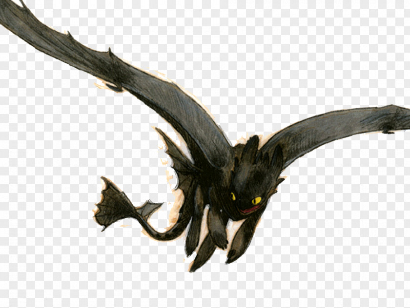Hiccup Horrendous Haddock III Snotlout How To Train Your Dragon Astrid Toothless PNG